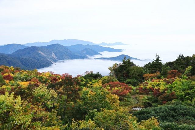 【編集部厳選！】一関市おすすめの注文住宅メーカー10選！
